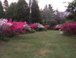 Fairy Party and Parade at Kinney Azalea Gardens