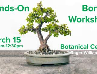 Hands-On Bonsai Workshop