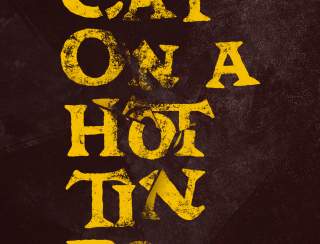 Cat on a Hot Tin Roof