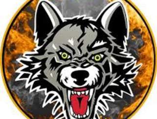 Providence Bruins vs. Chicago Wolves - Providence