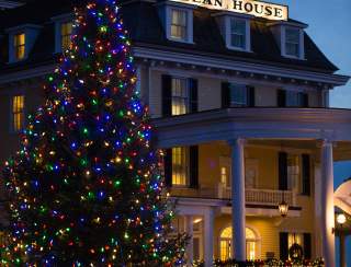 Annual Christmas Tree Lighting!