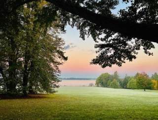 Early Bird Sensory Walks