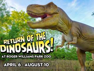 Return of the Dinosaurs