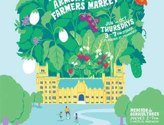 FFRI's Armory Park Farmers Market