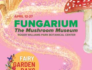 Fairy Garden Days 2025 Fungarium: The Mushroom Museum at Roger Williams Park Botanical Center