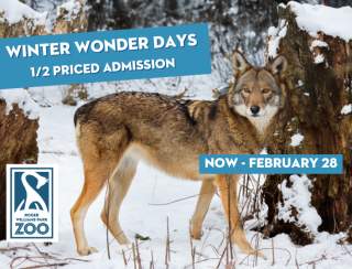 Winter Wonder Days – ½ Priced Admission