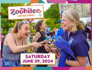 Zoobilee! Party with a Purpose