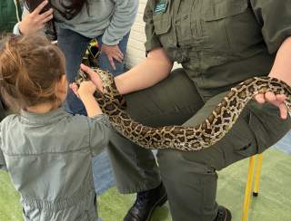 Slithering Snakes at Providence Children's Museum