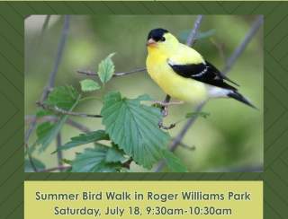 Summer Bird Walk in Roger Williams Park