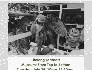 Lifelong Learners: Museum: From Top to Bottom