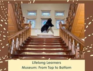 Lifelong Learners: Museum: Top to Bottom