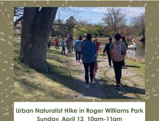 Urban Naturalist Hikes in Roger Williams Park