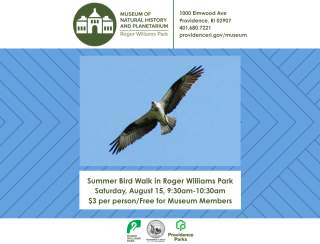 Summer Bird Walk in Roger Williams Park