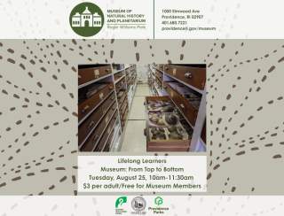Lifelong Learners: Museum: From Top to Bottom