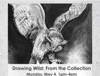 Drawing Wild - From the Collection