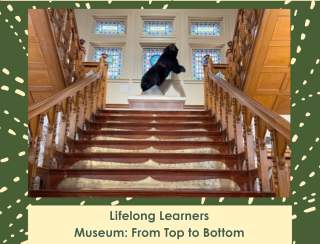 Lifelong Learners: Museum: From Top to Bottom