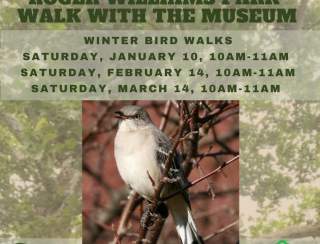 Winter Bird Walks in Roger Williams Park