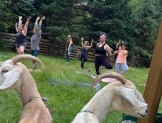 Reconnect Fest: Yoga Retreat