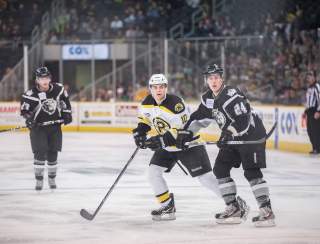Providence Bruins