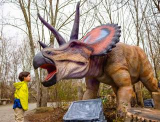Return of the Dinosaurs: Sensory-Friendly Mornings