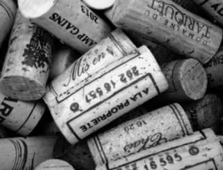 From Vine to Wine: Uncovering Wines of Europe