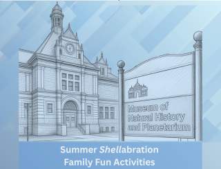 Summer Shellabration at the Museum of Natural History and Planetarium