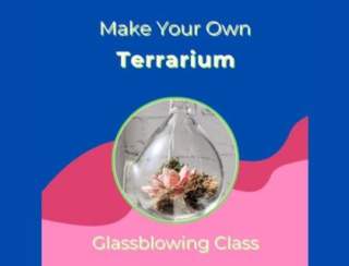 Make Your Own Terrarium - May 2026