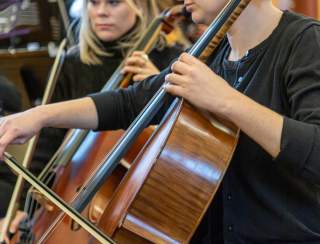 Warwick Symphony Orchestra: Americana