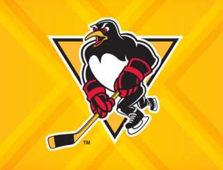 Providence Bruins vs. Wilkes-Barre Scranton Penguins