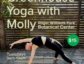 Greenhouse Yoga with Molly