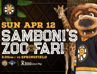 Providence Bruins vs Springfield Thunderbirds