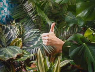 Bloom Flower & Home Market