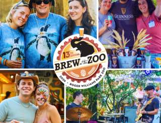 Brew at the Zoo