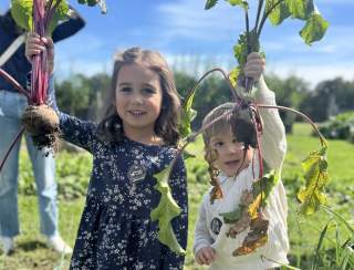 Harvest Festival