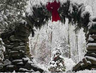 Exploring the Winter Landscape