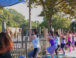 Yoga With The Elephants at Roger Williams Park Zoo