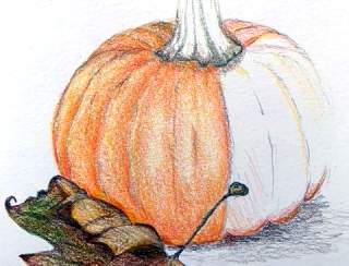 Nature Drawing at Blithewold