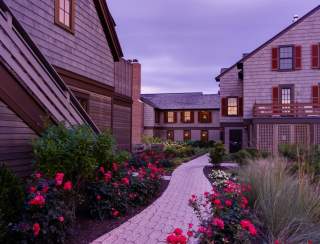 Holiday Cinema Under the Stars