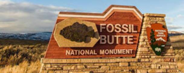 Fossil Butte