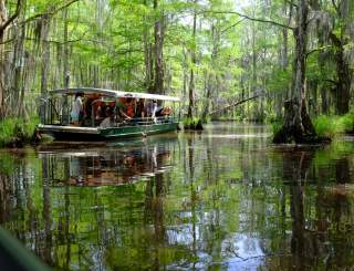 Cajun Encounters1