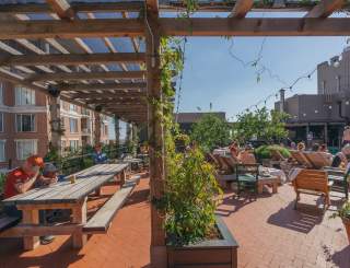 Alto - Ace Hotel