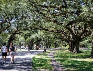 Audubon Park New Orleans