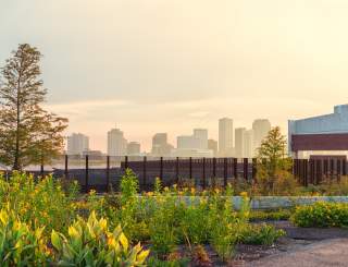 Crescent Park