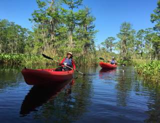 A New Orleans Kayak Swamp Tour