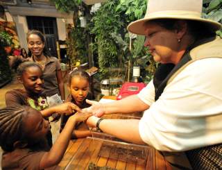 Audubon Insectarium