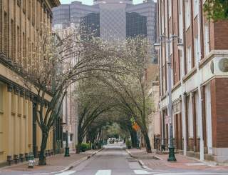 Lafayette Street & Baronne Street - Downtown - CBD - Springtime