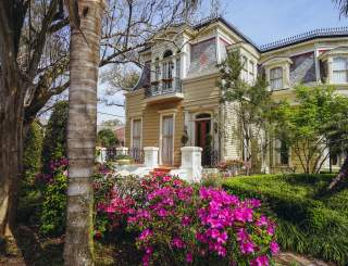 Esplanade Ave & North Dorgenois - Springtime Architecture - Azaleas