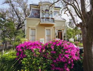 Esplanade Ave & North Dorgenois - Springtime Architecture - Azaleas