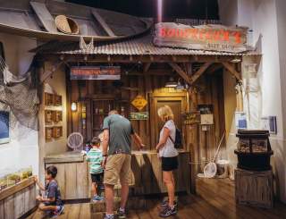 Audubon Insectarium