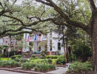 Confederacy of Dunces Inspired Photos - "Patrolman Mancuso inhaled the moldy scent of oaks and thought, in a romantic aside, that St. Charles Avenue must be the loveliest place in the world."